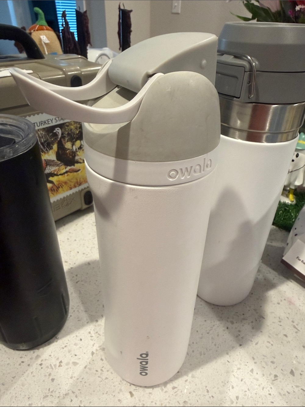 Owala White Insulated Water Bottle with Flip Handle - Easy Carry